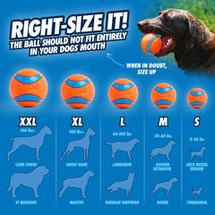 Chuckit! Ultra Ball, Large (3 Inch), 1 Count